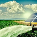 solar-water-pump-1783648